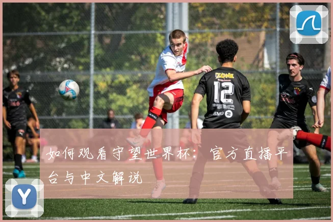 如何观看守望世界杯:官方直播平台与中文解说