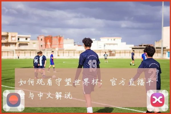 如何观看守望世界杯：官方直播平台与中文解说