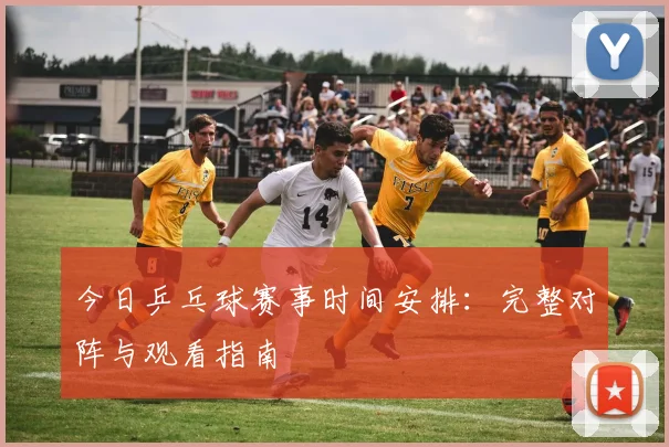 今日乒乓球赛事时间安排：完整对阵与观看指南